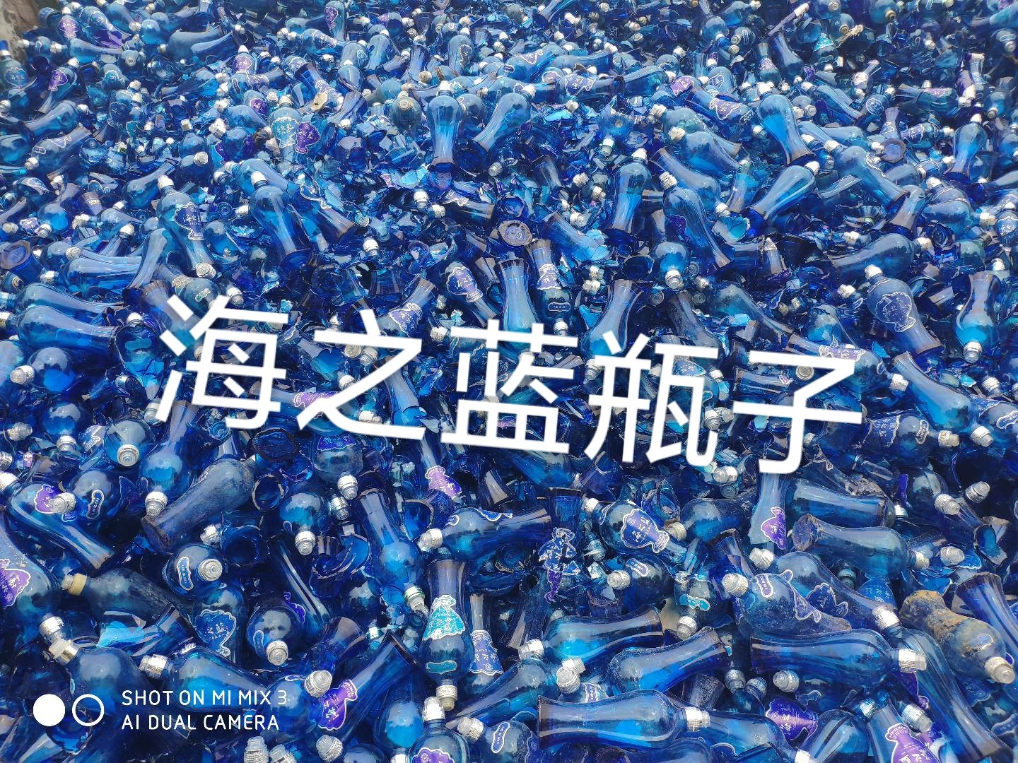 扬州海之蓝瓶回收