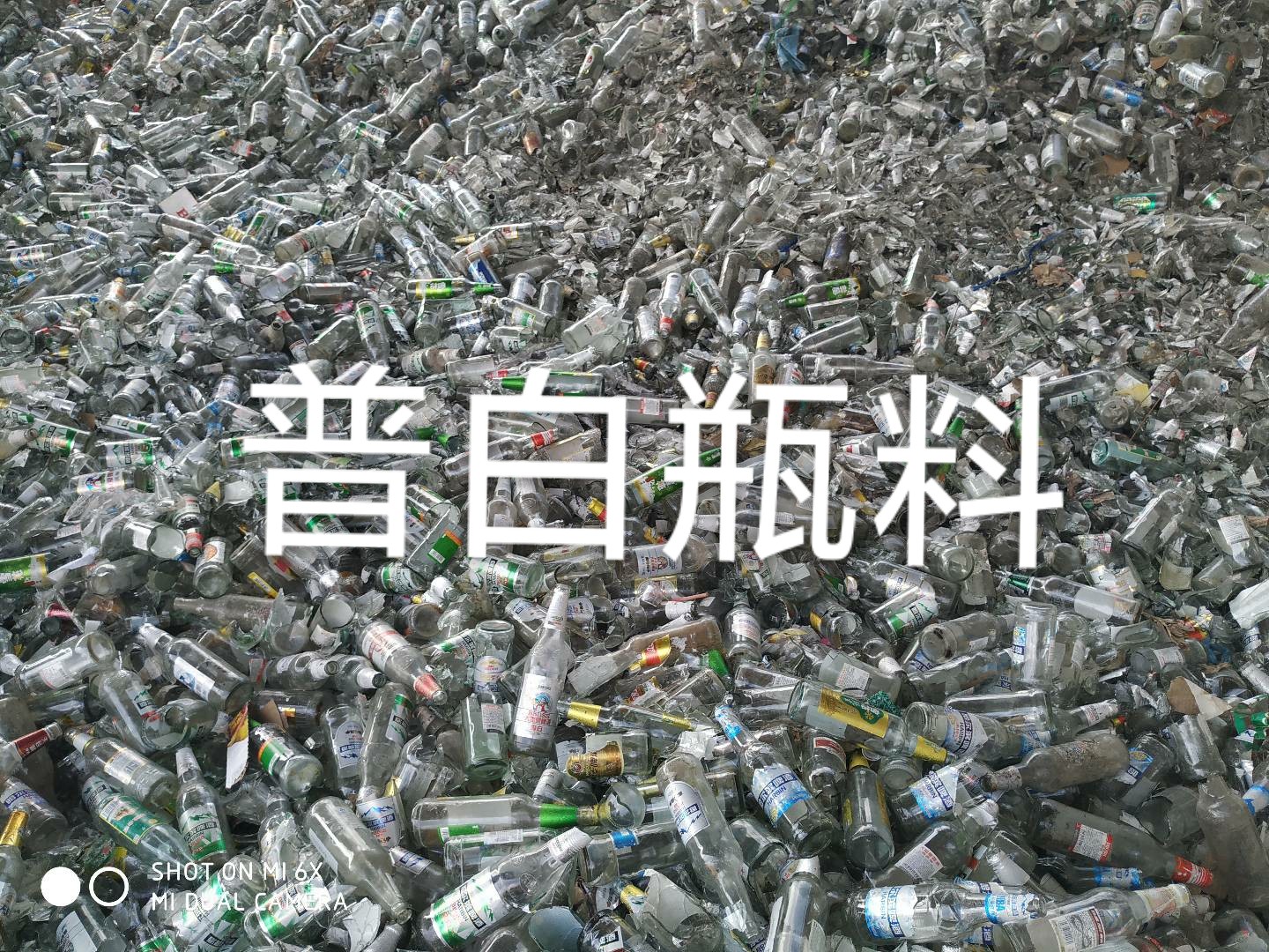 扬州普白瓶料回收